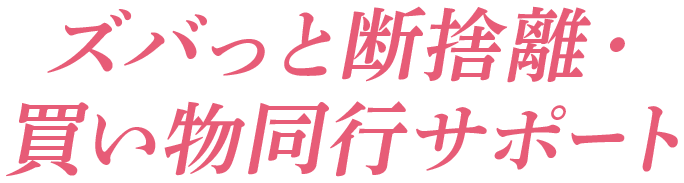 ズバっと断捨離・買い物同行サポート